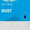 15x30.5x1 (Actual Size) DuPont Dust Air Filter (MERV 8) -Home Air Filter Store dust front lg