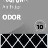 14x30x1 (13.5 X 29.5) DuPont™ Odor Air Filter (MERV 10)