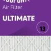 19.75x19.75x1 (Actual Size) DuPont™ Ultimate Air Filter (MERV 13)